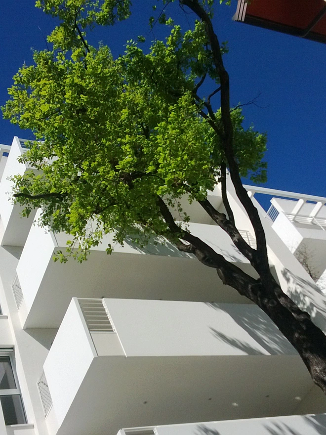 WHITE LIVING Studio X3 Architettura