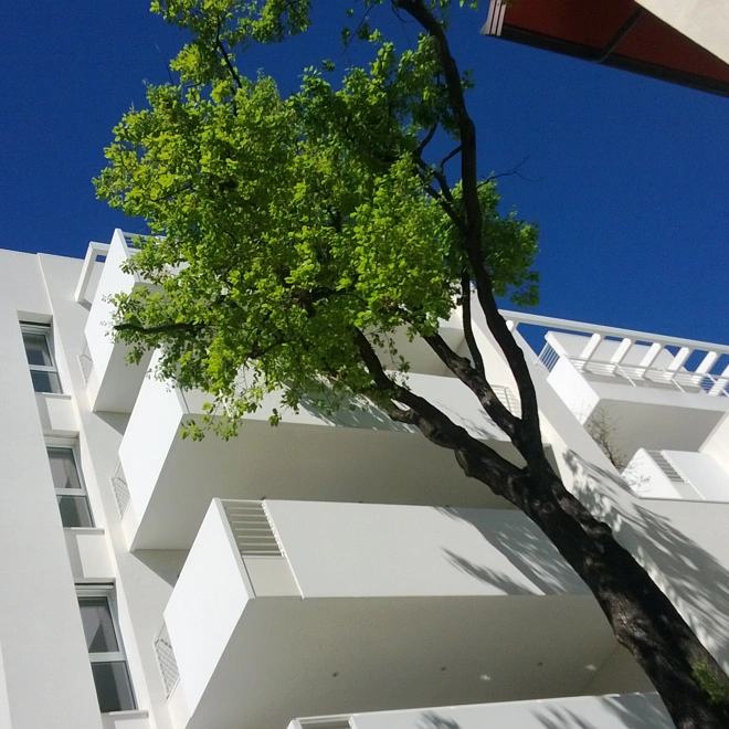 WHITE LIVING Studio X3 Architettura